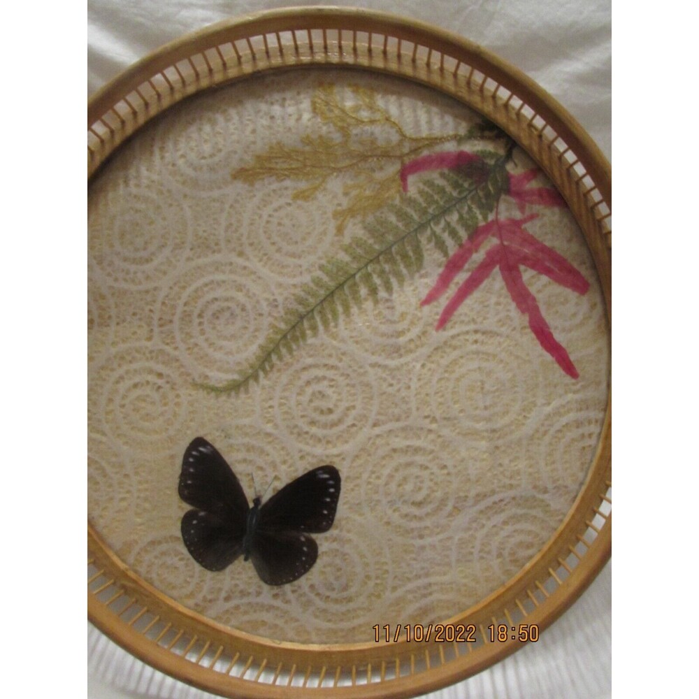 VINTAGE BOHO BAMBOO PRESSED BUTTERFLY BOTANICAL WOOD GLASS SERVING TRAY